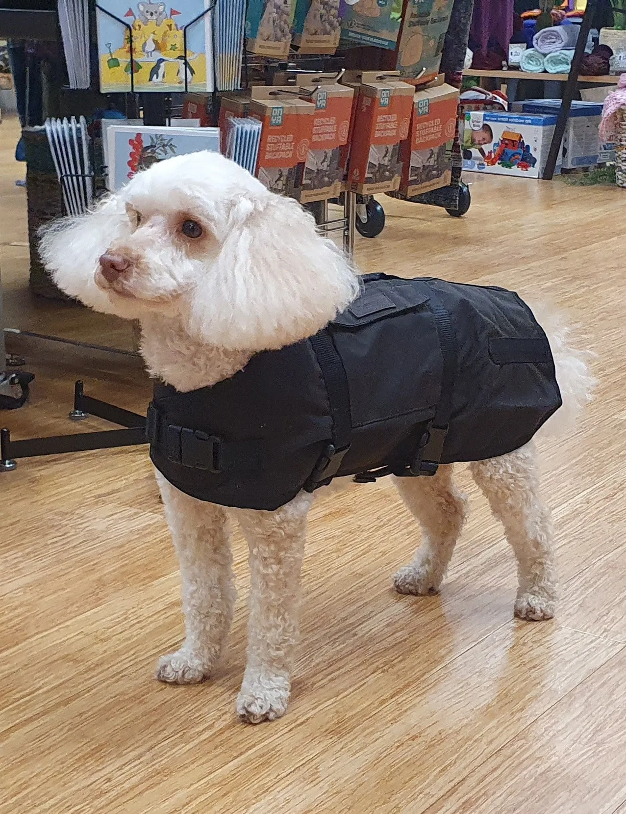 Dog Coats Oilskin Pockets