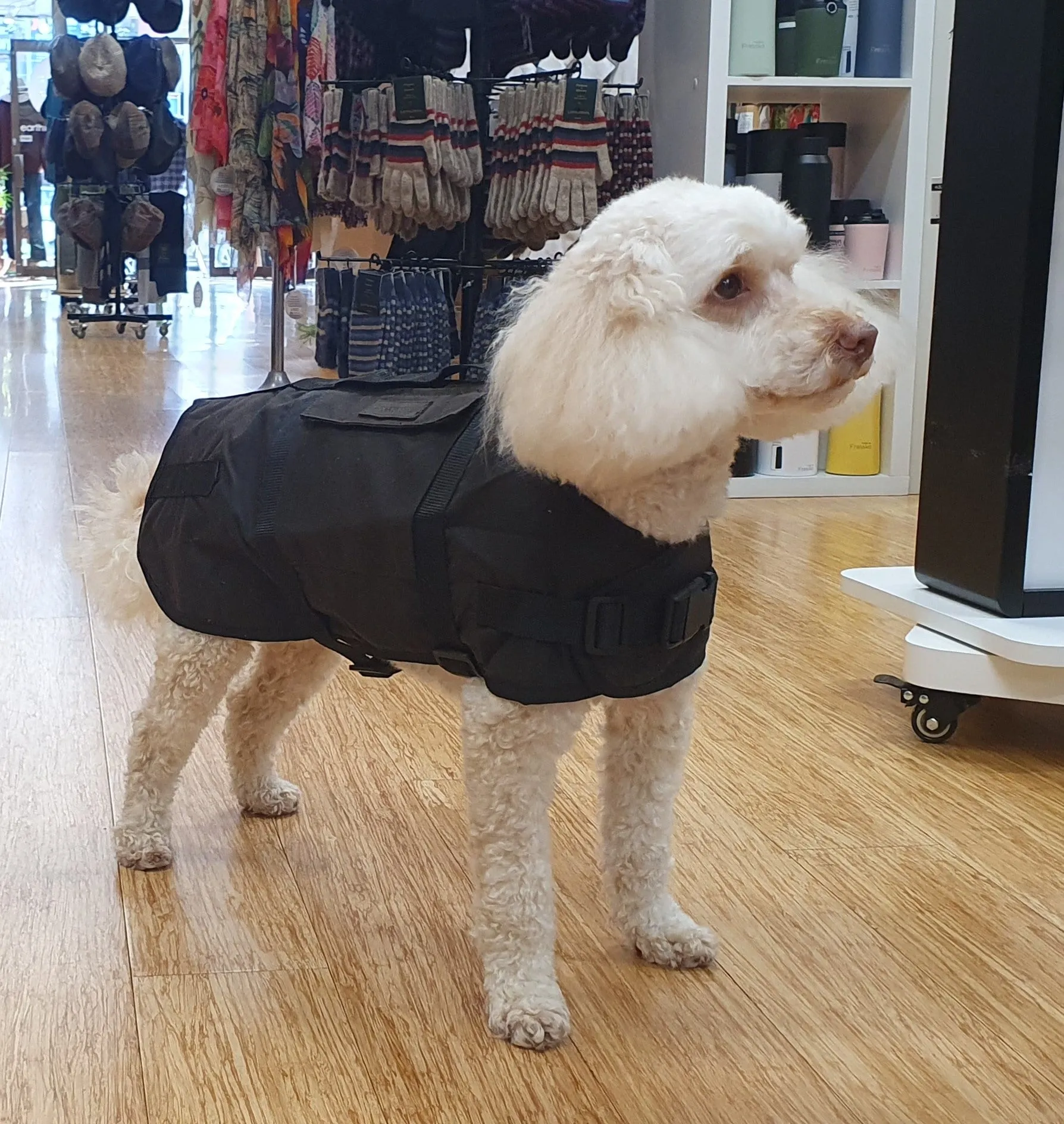 Dog Coats Oilskin Pockets