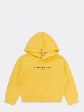 Essential Logo Hoody | Hoodies | Tommy Hilfiger